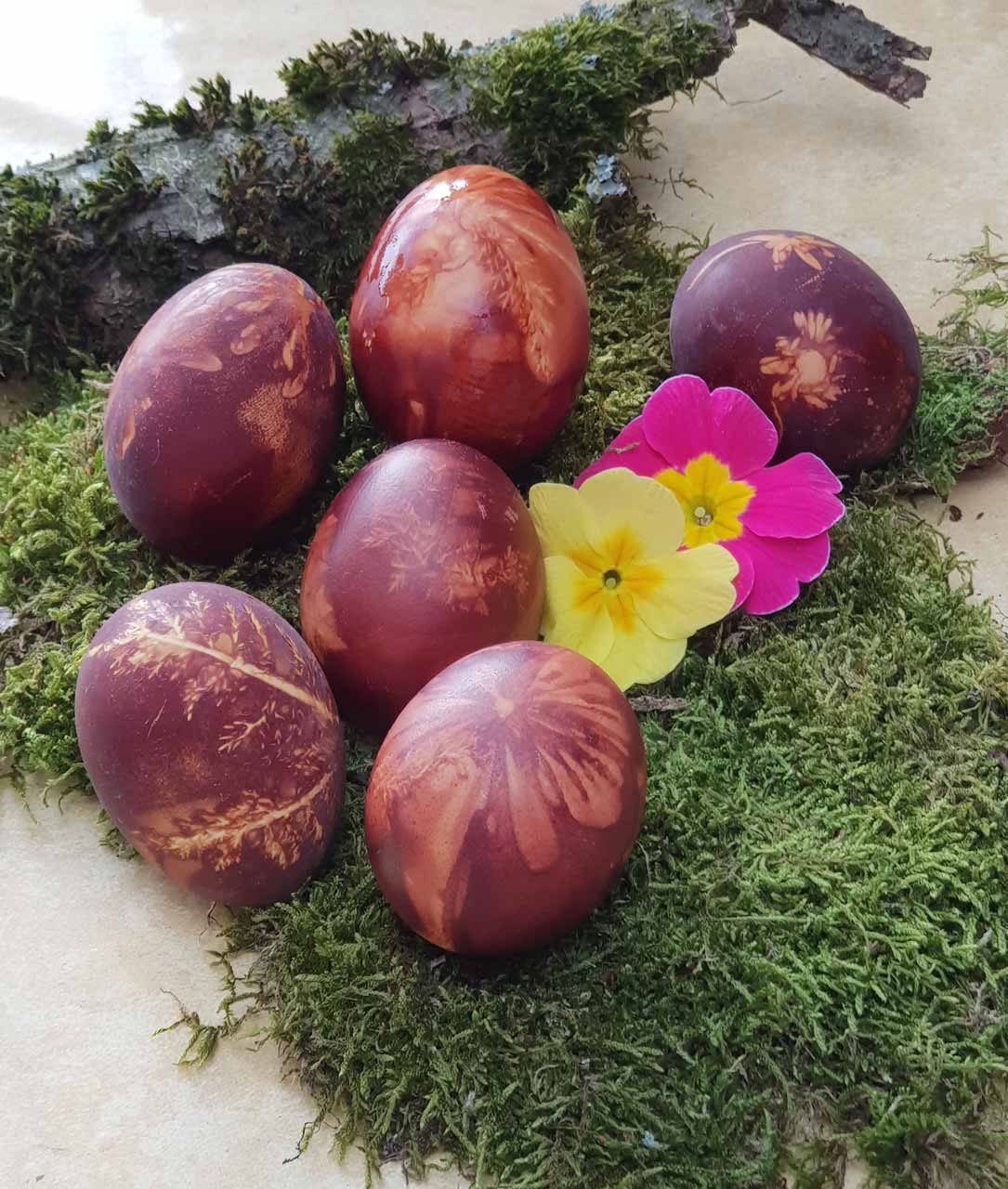 Ostereier färben mit Naturfarben – Sibylle Hasler