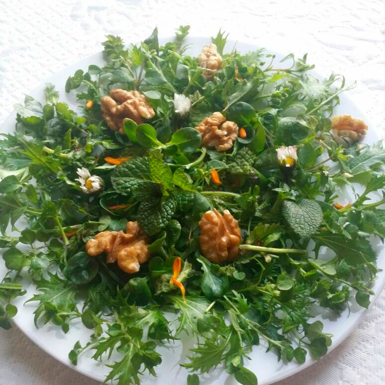 Salat aus Wildkräutern, Wildkräutersalat